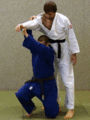 AeussererDropdown-Schulterzug04.gif