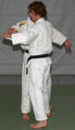 Hueftwurf02a.gif