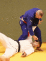 AeussererHueftwurf05a.gif