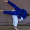 SchulterwurfIppon04.gif