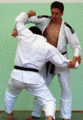 Abtaucher01.gif