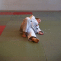 FreierFallFrontal06.gif