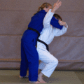 SchulterwurfIppon02.gif