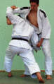 Abtaucher02.gif