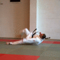 FreierFall05.gif