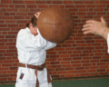 PassivblockAmKopfUFMedizinball01.gif