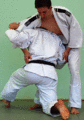 Abtaucher03.gif