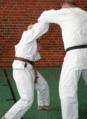 PassivblockAmKopf03Abtauchen.gif