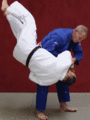 AeussererSchulterwurf04.gif