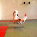 FreierFallFrontal05.gif