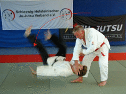 InnererLeitwurf05.gif