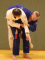 AeussererHueftwurf03a.gif