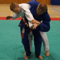 AeussererHueftwurf05.gif