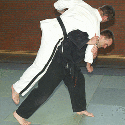 Schulterzug06.gif