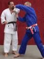 AeussererSchulterwurf02.gif