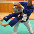 AeussererHueftwurfGTSchaufelwurf02.gif