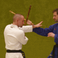 DrehstreckhebelMitDemStock02.gif