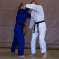 SchulterwurfIppon01.gif