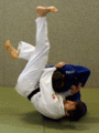 AeussererDropdown-Schulterzug06.gif