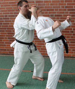 Rueckriss03.gif