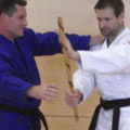 GriffsprengenMitDemStock03.gif
