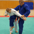 AeussererHueftwurf04.gif