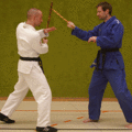DrehstreckhebelMitDemStock01.gif