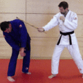 GriffloesenMitDemStock05.gif