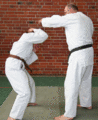 PassivblockAmKopf03AbtauchenB.gif