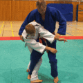 AeussererHueftwurfWFGrosseAussensichel02.gif