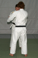 Hueftwurf01a.gif
