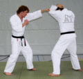 KopfstossGTFreiesWuergen01.gif