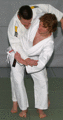 Hueftwurf04a.gif