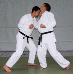 Kopfstoss04.gif