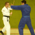 KnoechelwuergeMitDemStock02.gif