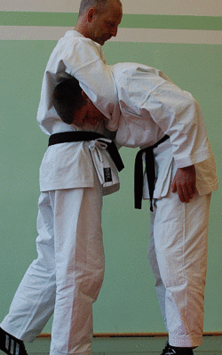 Hebewuergen01.gif