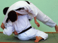 Abtaucher05.gif