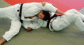 Abtaucher08.gif