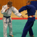 AeussererHueftwurf02.gif