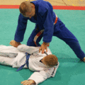 AeussererHueftwurf08.gif