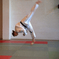 FreierFall03.gif
