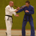 DrehstreckhebelMitDemStock04.gif