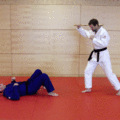 KehlkopfgrubendruckMitDemStock03.gif