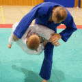 AeussererHueftwurfWFGrosseAussensichel04.gif