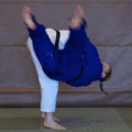 SchulterwurfIppon05.gif