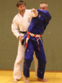 AeussererHueftwurf01a.gif