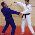 KehlkopfgrubendruckMitDemStock01.gif