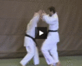 StillArmstreckhebelZumBodenZentrifugal.gif