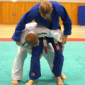 AeussererHueftwurfGTSchaufelwurf01.gif