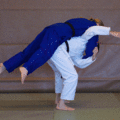 SchulterwurfIppon03.gif